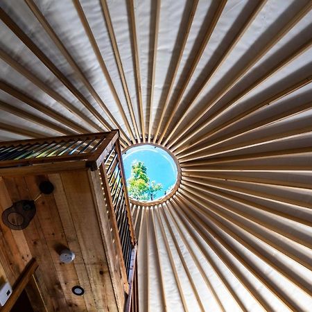 Yourtes Glamping Du Poisson Blanc Notre-Dame-du-Laus Eksteriør bilde
